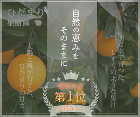 みかん農園バナー